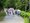 Team wandert im Wald